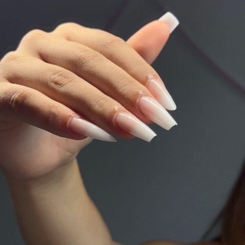 WhatsApp Image 2026-03-12 at 08.15.55